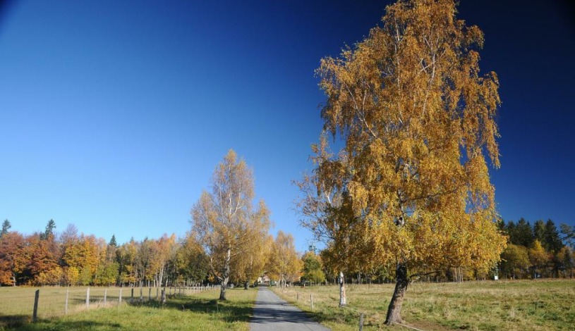 EKO - Farma Orlí vrch - Rejvíz Zlaté Hory